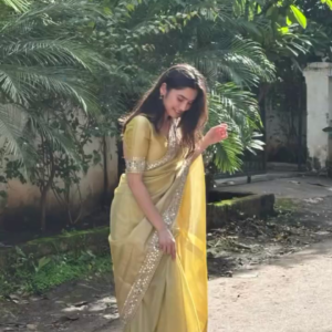 Golden Saree Glow