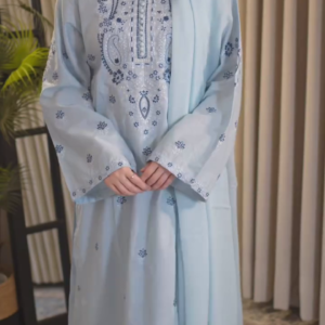 Women's Powder Blue Embroidered Kurta Set Daily Wear Outfit